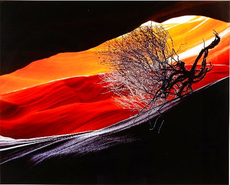 Burning Bush AP 1991 - Page, Arizona Panorama - Michael Fatali