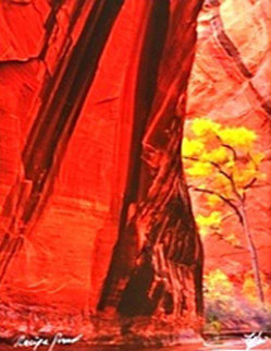 Canyon Voices Proof Panorama - Michael Fatali Canyon Voices Proof Panorama - Michael Fatali