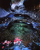 Shadow Garden Panorama by Michael Fatali - 0 Shadow Garden Panorama by Michael Fatali - 0