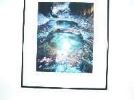 Shadow Garden Panorama by Michael Fatali - 1 Shadow Garden Panorama by Michael Fatali - 1