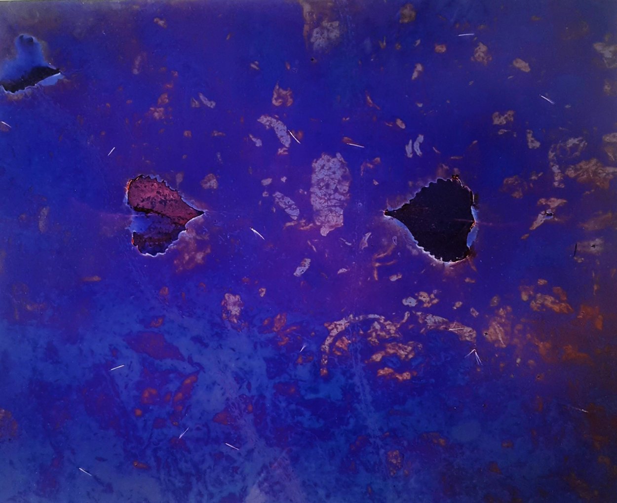 Romeo and Juliet 1997 Panorama by Michael Fatali Romeo and Juliet 1997 Panorama by Michael Fatali