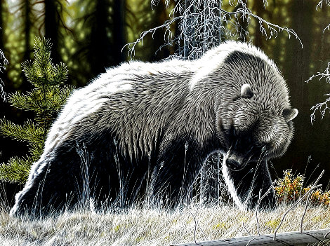 High Country Grizzly 1993 48x60 - Huge Original Painting - Randy Fehr