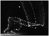 Navy Helicopter Or Pattern By Helicopter Wing Lights 1949 Limited Edition Print by Andreas Feininger - 1 Navy Helicopter Or Pattern By Helicopter Wing Lights 1949 Limited Edition Print by Andreas Feininger - 1
