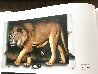 Behind the Lion 1991 51x70 - Huge  Original Painting by (Fernando de Jesus Oliviera) Ferjo - 6