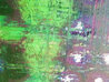 Blackberry 1992 30x24 Original Painting by Aaron Fink - 7