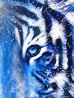 Surreal Gaze 2021 Embellished Giclee on Canvas Limited Edition Print by Stephen Fishwick - 2 Surreal Gaze 2021 Embellished Giclee on Canvas Limited Edition Print by Stephen Fishwick - 2