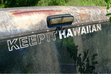 Keep It Hawaiian Limited Edition Print - Mick Fleetwood Keep It Hawaiian Limited Edition Print - Mick Fleetwood
