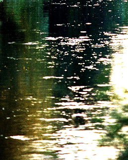 Reflections (Color) Limited Edition Print - Mick Fleetwood Reflections (Color) Limited Edition Print - Mick Fleetwood