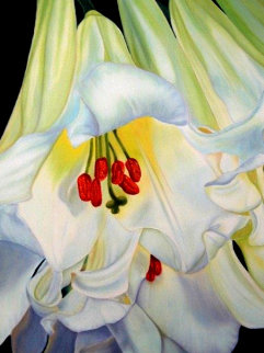 Douce Aurore - Lys Blanc 2019 36x24 Original Painting - Claire Fontaine Douce Aurore - Lys Blanc 2019 36x24 Original Painting - Claire Fontaine