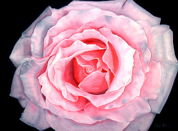 Douceur - Rose 2020 24x30 Original Painting - Claire Fontaine Douceur - Rose 2020 24x30 Original Painting - Claire Fontaine