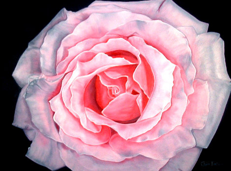 Douceur - Rose 2020 24x30 Original Painting - Claire Fontaine