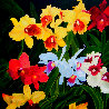Jardin De Mauï 1 - Mixt Orchids 2020 48x48 Huge Original Painting by Claire Fontaine - 0