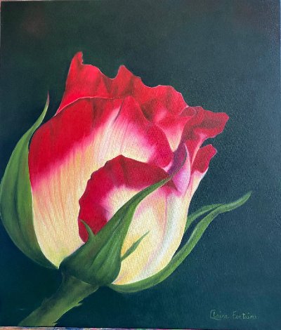 Lumineuse - Bouton De Rose 2019 30x26 Original Painting - Claire Fontaine