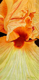 Soleil Discret - Iris Musette 2020 44x26 Original Painting - Claire Fontaine Soleil Discret - Iris Musette 2020 44x26 Original Painting - Claire Fontaine