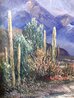 Desert Sunset 32x26 - Framed Oil on Canvas Original Painting by Caroll Forseth - 2 Desert Sunset 32x26 - Framed Oil on Canvas Original Painting by Caroll Forseth - 2