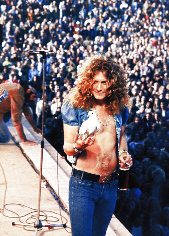 Robert Plant Dove Shot 1973 Photography - James Fortune