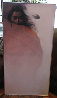 Untitled Painting 1968 48x24 Original Painting by Ozz Franca - 1 Untitled Painting 1968 48x24 Original Painting by Ozz Franca - 1