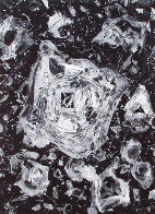 Untitled (Hurricane) 1983 Limited Edition Print by Sam Francis - 0 Untitled (Hurricane) 1983 Limited Edition Print by Sam Francis - 0