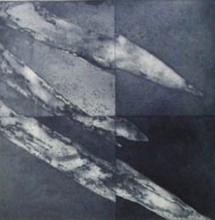 Series Square/median 1991 Limited Edition Print - Francisco Ferro Series Square/median 1991 Limited Edition Print - Francisco Ferro