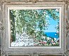 Villa Angelica 34x42 - Huge Limited Edition Print by Liliana Frasca - 1