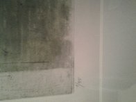 Sur Fond Vert #1 Limited Edition Print by Johnny Friedlander - 2 Sur Fond Vert #1 Limited Edition Print by Johnny Friedlander - 2