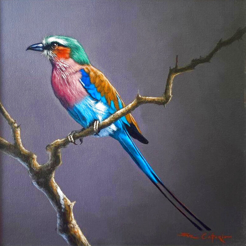 Fuz Caforio Art For Sale, Wanted