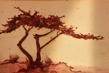Untitled Cypress 5x7 Original Painting - Danny Garcia Untitled Cypress 5x7 Original Painting - Danny Garcia