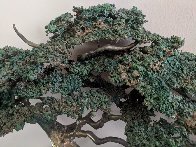 Large Cypress Tree Bronze Sculpture 1991 34 in Sculpture by Danny Garcia - 2 Large Cypress Tree Bronze Sculpture 1991 34 in Sculpture by Danny Garcia - 2