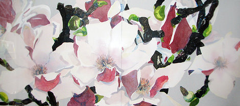 Japanese Magnolia  Diptych 1984 39x59 Huge Limited Edition Print - Gary Bukovnik