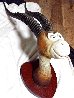 Two Horned Drouberhannis Cast Resin Sculpture 27 in  - Taxidermy Sculpture by Dr. Seuss - 2