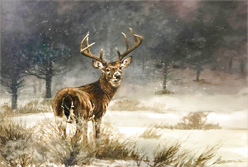 Untitled Buck Watercolor 1973 40x34 Super Huge Original Painting - Ragan Gennusa Untitled Buck Watercolor 1973 40x34 Super Huge Original Painting - Ragan Gennusa