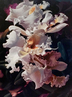 Iris Limited Edition Print - Michael Gerry Iris Limited Edition Print - Michael Gerry