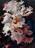 Iris Limited Edition Print by Michael Gerry - 0 Iris Limited Edition Print by Michael Gerry - 0