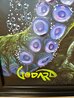 Kraken 2022 44x24 - Huge - Framed Mixed Media on Canvas Original Painting by Michael Godard - 7