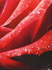 Purple Edge 2023 - Embellished Giclee on Canvas Limited Edition Print by Michael Godard - 4 Purple Edge 2023 - Embellished Giclee on Canvas Limited Edition Print by Michael Godard - 4