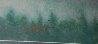 Coming Home 2009 Limited Edition Print by Rodel Gonzalez - 8