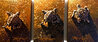 Three to the Sea  - Triptych 2012 20x29 - Turtle Original Painting by Rodel Gonzalez - 0