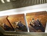 Three to the Sea  - Triptych 2012 20x29 - Turtle Original Painting by Rodel Gonzalez - 2