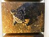 Three to the Sea  - Triptych 2012 20x29 - Turtle Original Painting by Rodel Gonzalez - 4