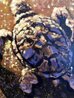 Three to the Sea  - Triptych 2012 20x29 - Turtle Original Painting by Rodel Gonzalez - 7