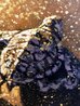 Three to the Sea  - Triptych 2012 20x29 - Turtle Original Painting by Rodel Gonzalez - 8