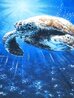 Underwater Majesty 2023 - Framed Caldograph on Wood Limited Edition Print by Rodel Gonzalez - 3