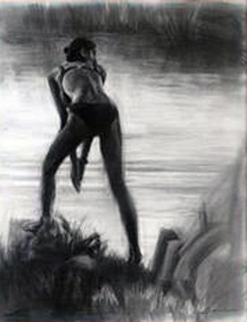 Private Lagoon 28x33 Works on Paper (not prints) - Carrie Graber