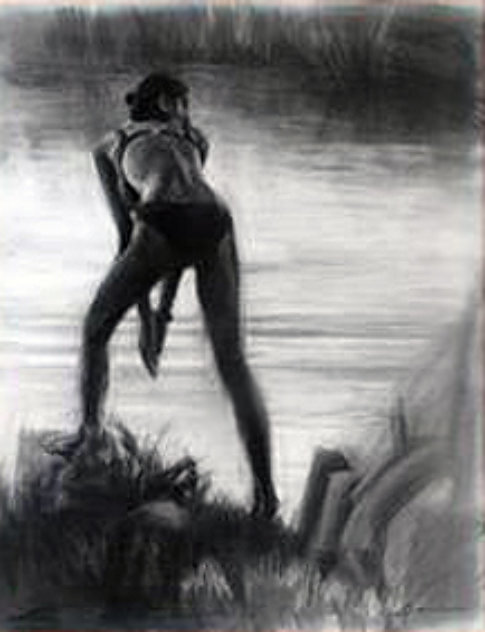 Private Lagoon 28x33 Works on Paper (not prints) by Carrie Graber