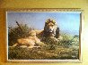 Lion and Lioness 1995 33x47 Huge Original Painting by Grant Hacking - 1