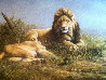 Lion and Lioness 1995 33x47 Huge Original Painting by Grant Hacking - 2
