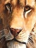 Lion and Lioness 1995 33x47 Huge Original Painting by Grant Hacking - 5