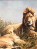 Lion and Lioness 1995 33x47 Huge Original Painting by Grant Hacking - 3