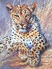 Leopard 1995 24x30 Original Painting by Grant Hacking - 2