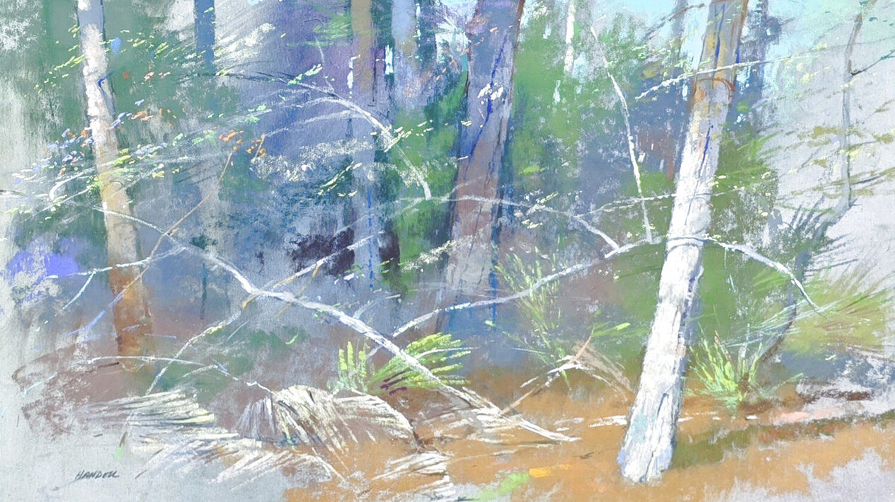 Southern Woods 2016 Framed Watercolor and Pastel 12x18 by Albert ...